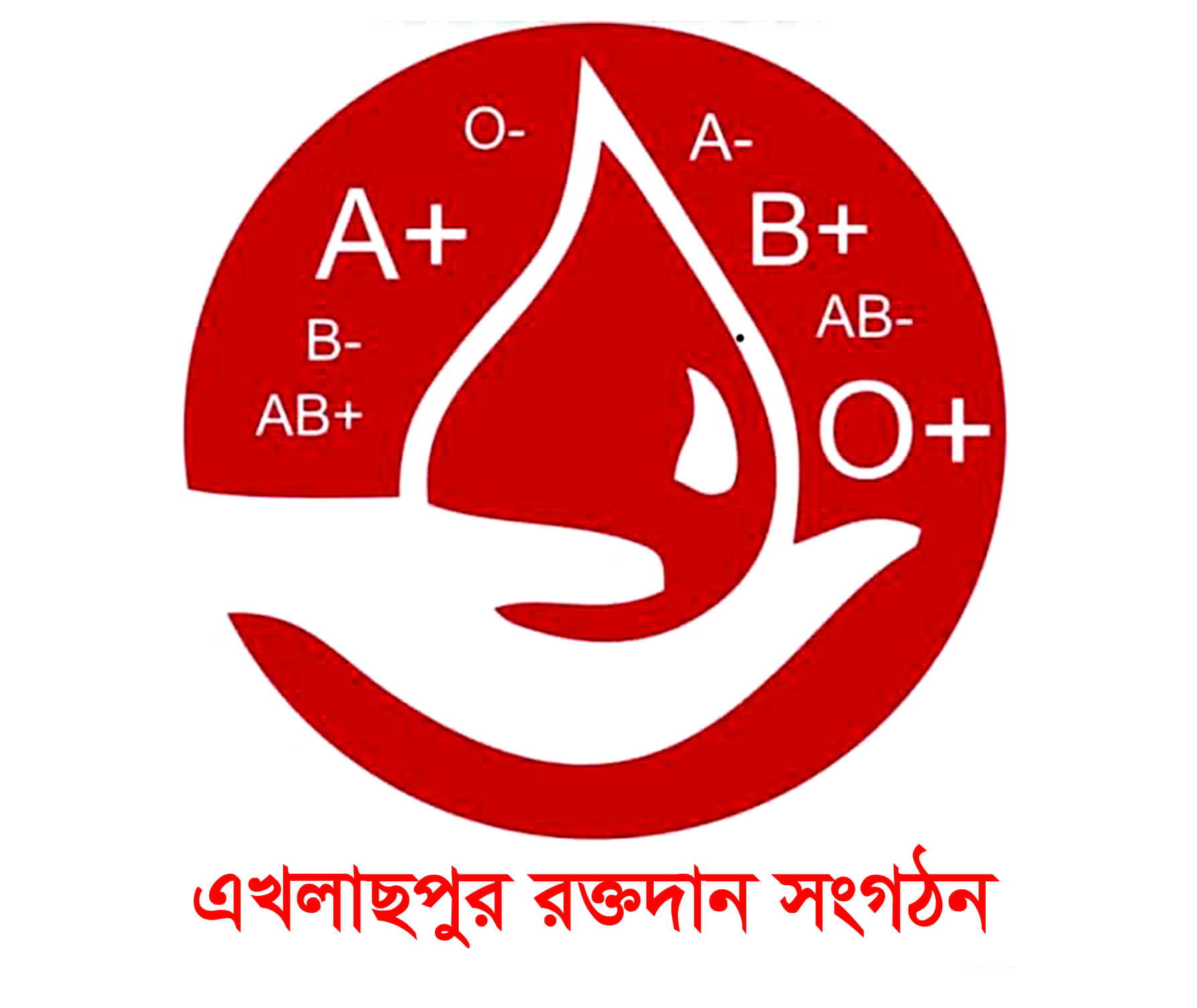 about-greenforet-img